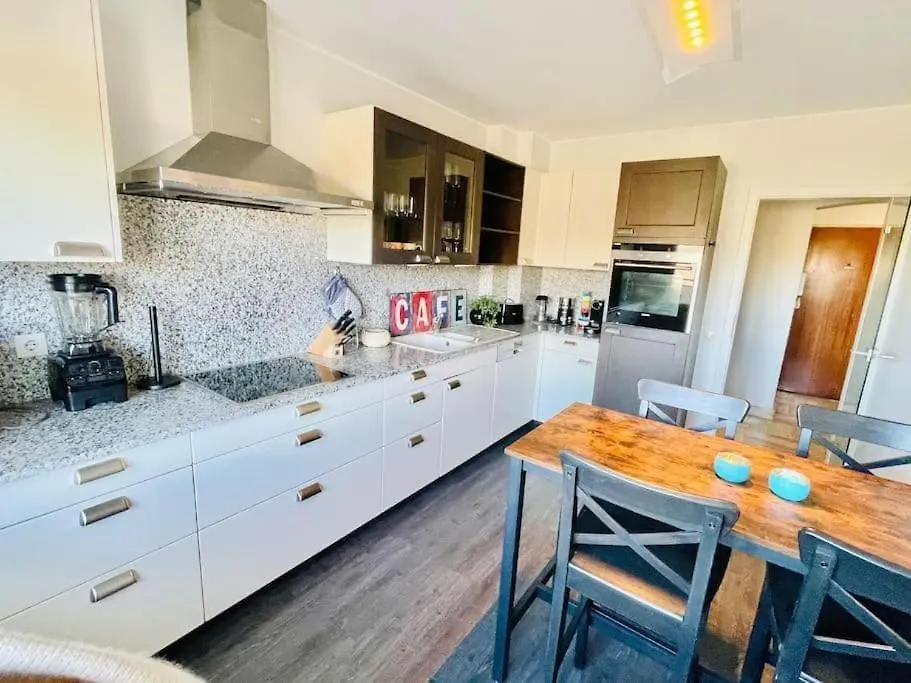 Large Penthouse In City Center-41 Luxembourg Apartment